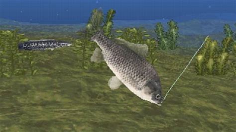 ps1 fish game|Recommendations for 10 PS1 Fishing Games that Can Fill  .